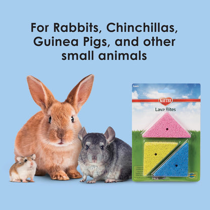 Kaytee Lava Bites Chew Toy for Chinchillas, Hamsters and Gerbils, 3 Pack4