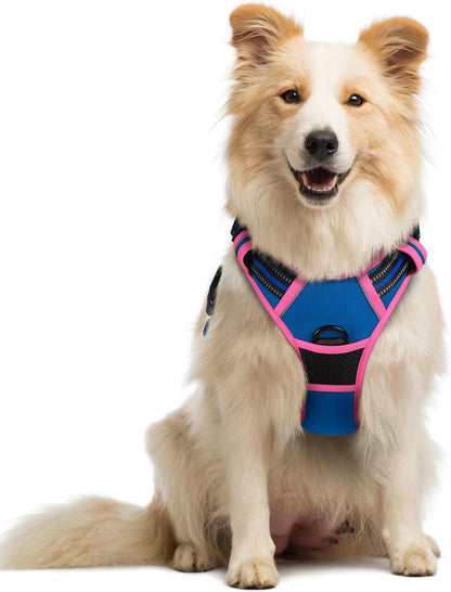 Rabbitgoo Dog Harness, No Pull for Large Dogs with 2 Leash Clips, Pet Vest | No Choke with Handle, Adjustable Soft Padded, Reflective, Easy Control for Walking, Black, Large30