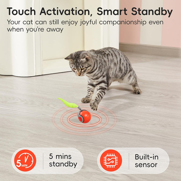 Potaroma Moving Ball Cat Toys with Feather Tail, Rechargeable | 2026 New Interactive Toy for Indoor Cats Exercise, Smart Interactive Kitten Rolling Ball, Orange4