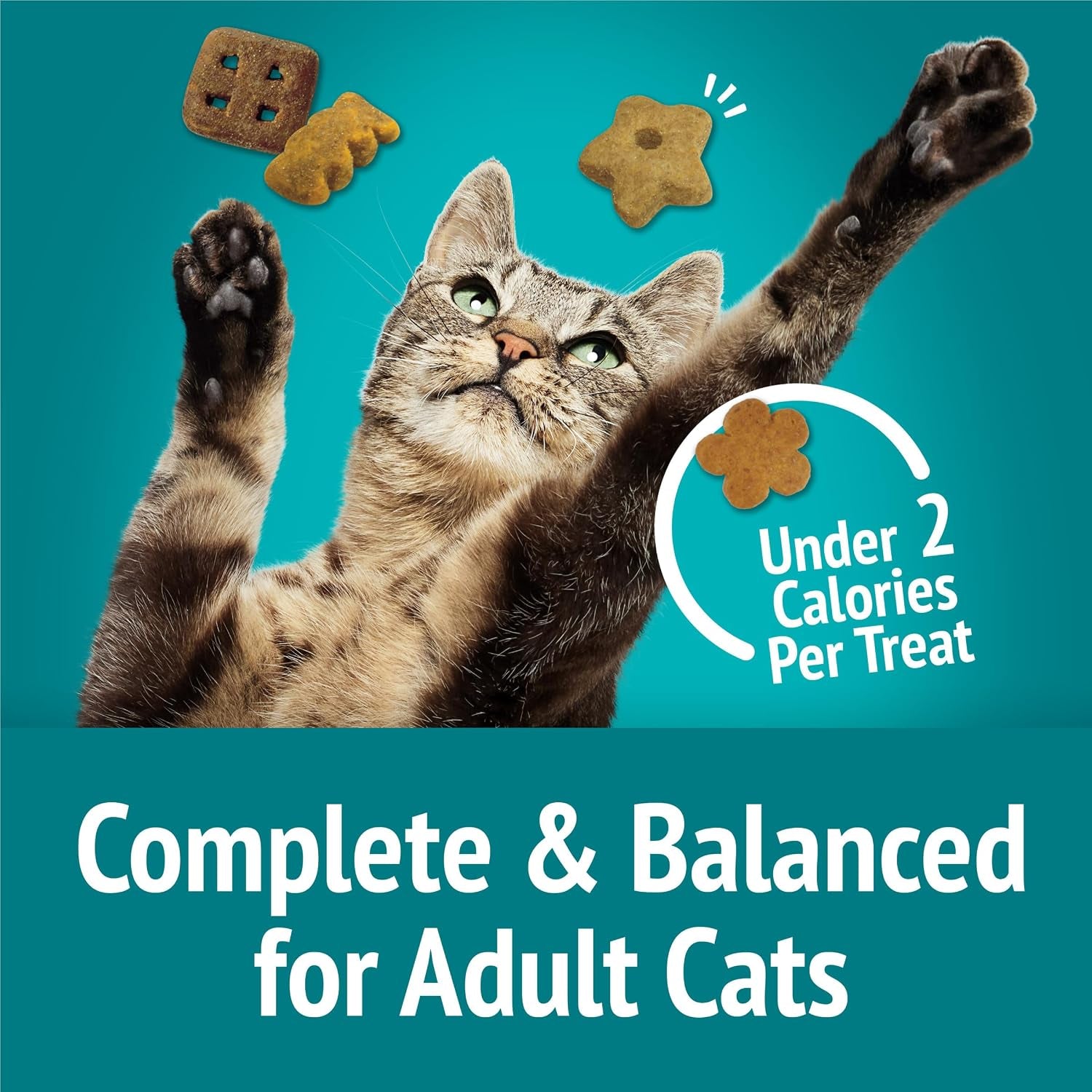 purina-friskies-cat-treats-party-mix-meow-luau-crunch-pack-of-10-2-1-oz-pouches