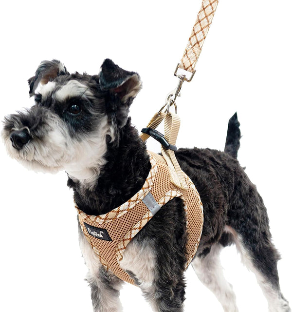 PUPTECK Dog Harness and Leash Set for Small Medium Dogs No Pull Step-In Soft Mesh Puppy Cat Vest Harnesses Reflective at Night, Green S6