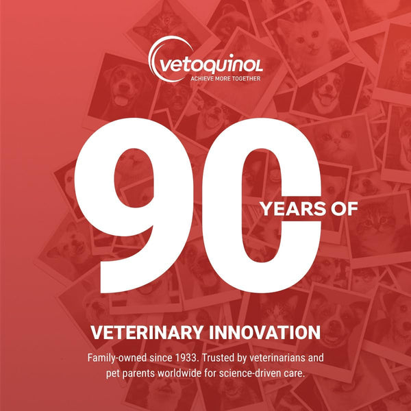 Vetoquinol Renal K - Potassium Supplement for Dogs & Cats - Supports Managing Potassium Levels - Palatable Gel with Maple Flavor - 5Oz7