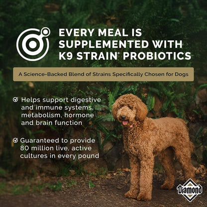 Diamond Maintenance Adult Dry Dog Food, Chicken Protein, 40Lb | for Moderately Active Dogs | Omega Fatty Acids Help Support Healthy Skin & Shiny Coat | Guaranteed Probiotics6