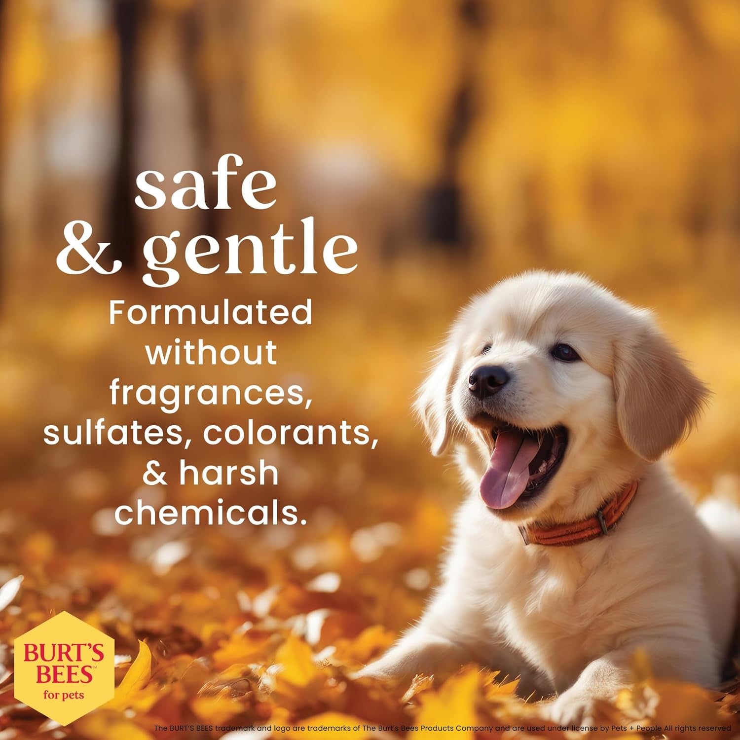 burt-s-bees-for-pets-tear-free-puppy-shampoo-conditioner-with-buttermilk-2-in-1-gentle-dog-shampoo-for-puppies-cleans-and-conditions-sensitive-skin-16-fl-oz-gentle-2-in-1-formula-cleans-and-conditions-sensitive-puppy-skin-and-coat-tearless-for-easy-bath-time