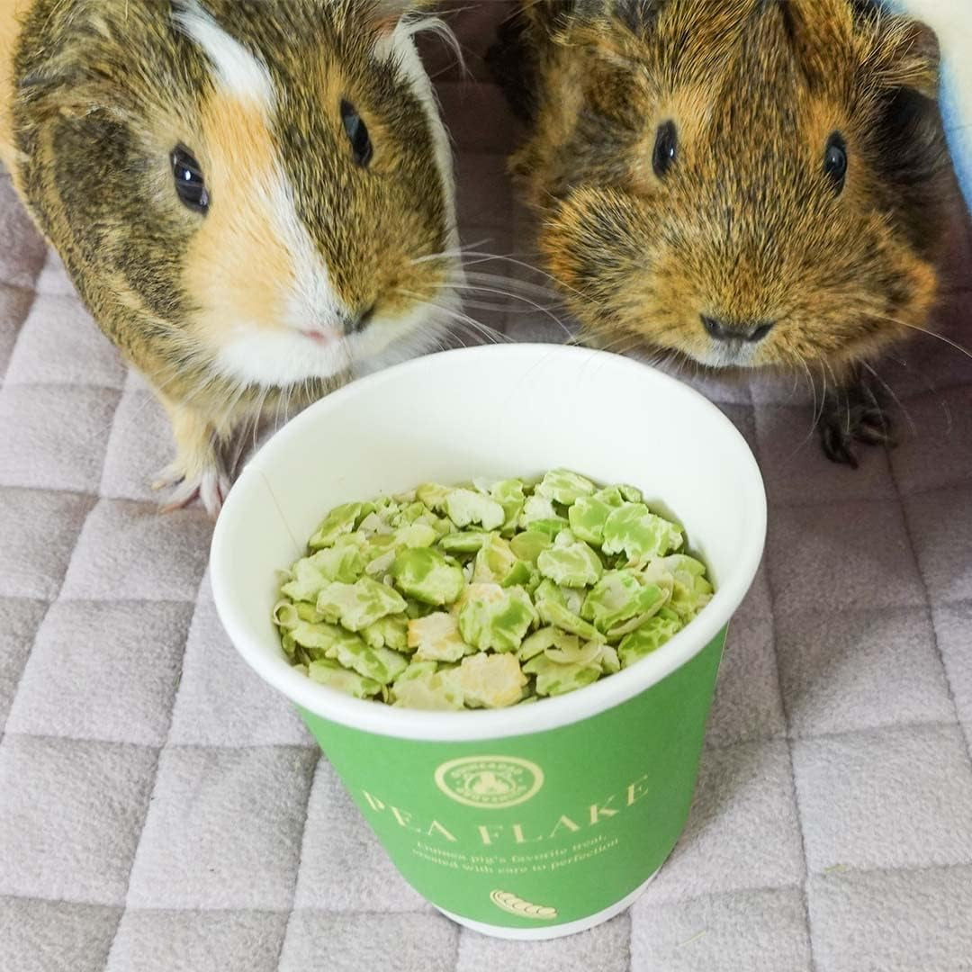 guineadad-pea-flakes-for-guinea-pigs-premium-guinea-pig-food-treats-natural-pea-flakes-for-small-pets-high-in-vitamins-minerals-large