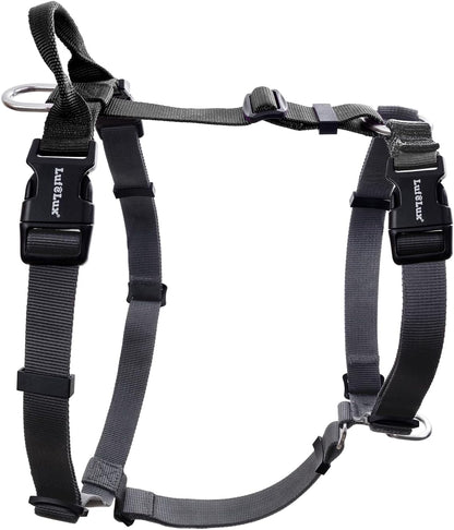 No Pull Dog Harness, Small, Purple/Black | Non Restrictive, Neck Buckle Design, Six Points Adjustment, Lightweight Easy Walk, Small Dogs Chest(17-23Inches)10
