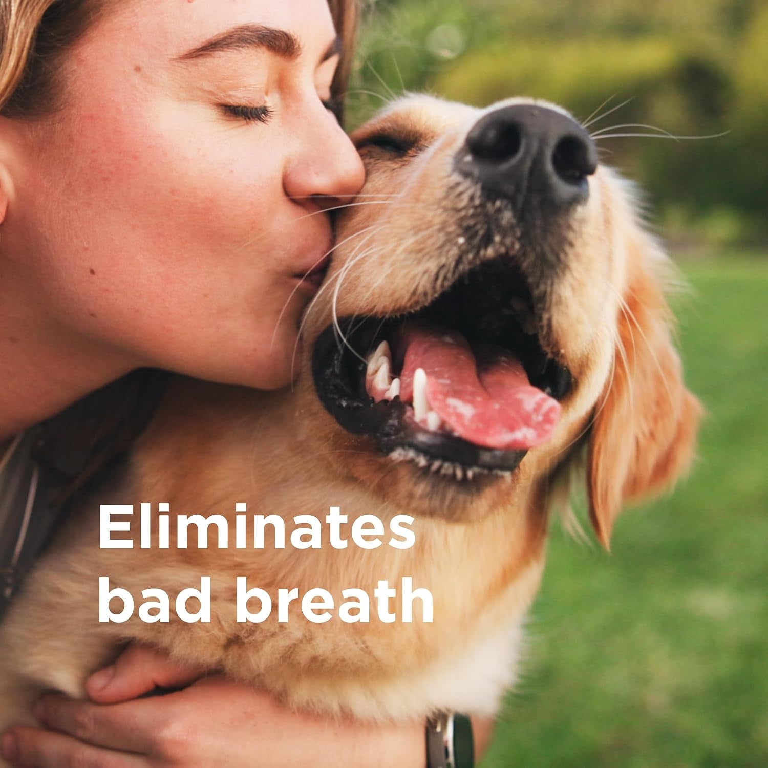 wondercide-rescue-oral-spray-for-dogs-and-cats-8-5-oz-freshens-breath-soothes-gums-alcohol-free-daily-dental-care-with-pure-hypochlorous