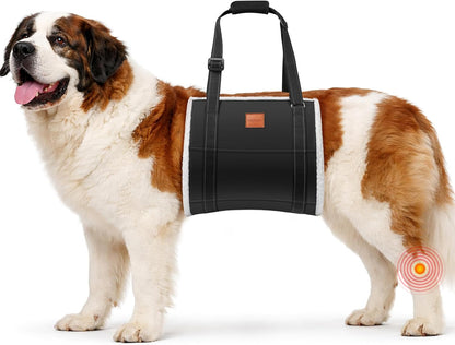 LOOBANI Adjustable Dog Sling for Large Dogs Hind Leg Support ACL Recovery | Walking & Stair Assistance, Senior Dog Mobility, Padded Comfort, Adjustable Fit, Lightweight Nylon, Soft Plush Lining10