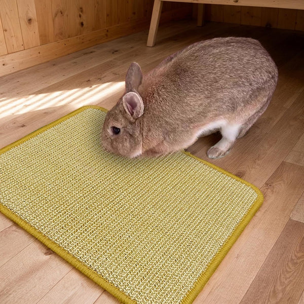 DYAUS Rabbit Scratching Pad, Sisal Bunny Scratch Pad, Natural Rabbit Foraging Mats for Cages, Indoor Bunny Toys Accessories for Bedding Biting Sleeping Resting (2PCS, 16X12In)6
