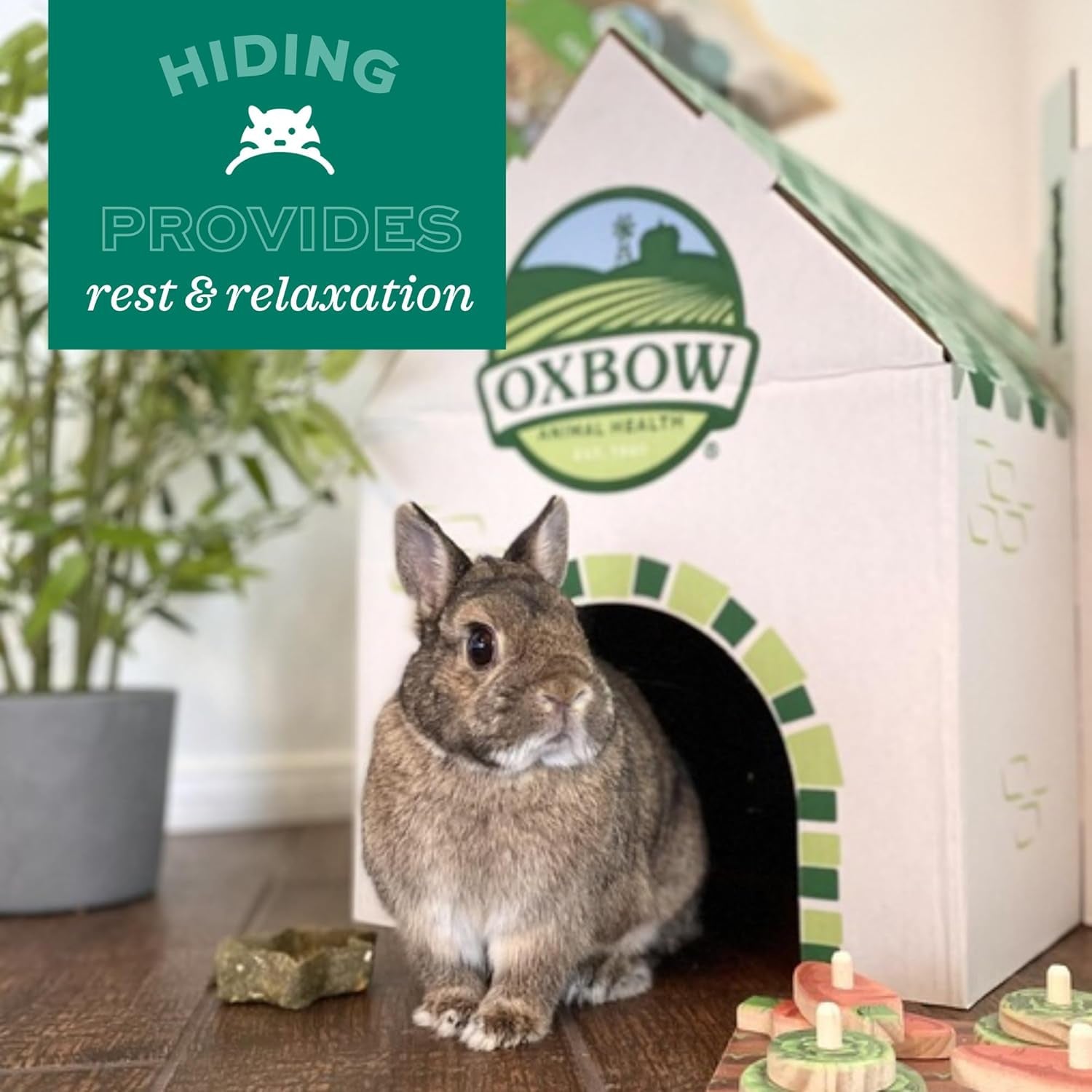 oxbow-timothy-hay-bungalow-guinea-pig-hideout-rabbit-house-large-bunny-hideout-rabbit-hide-guinea-pig-house-hand-woven-timothy-hay-for-guinea-pigs-chinchillas-and-rats-edible
