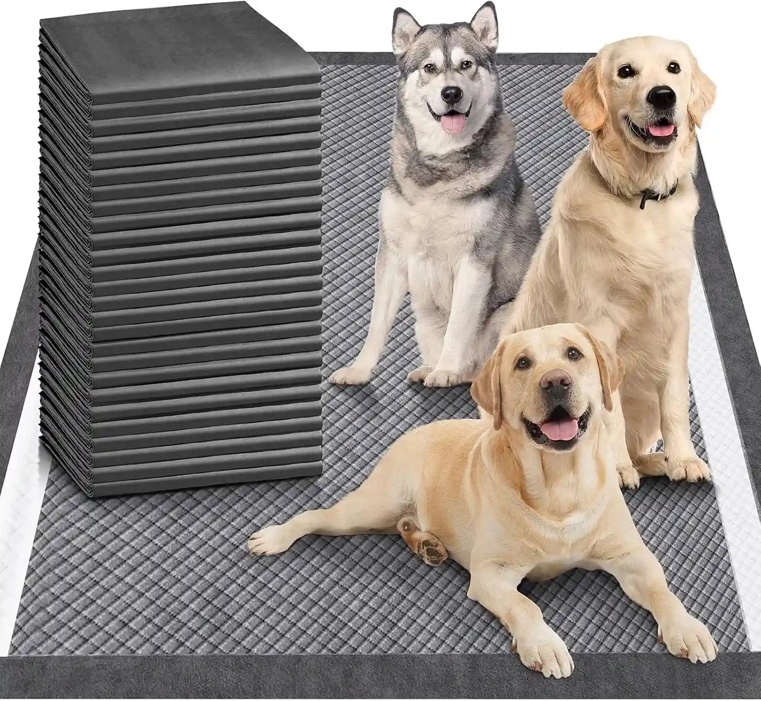 three-happy-dogs-on-gray-textured-pet-pads-ideal-for-training-and-daily-use