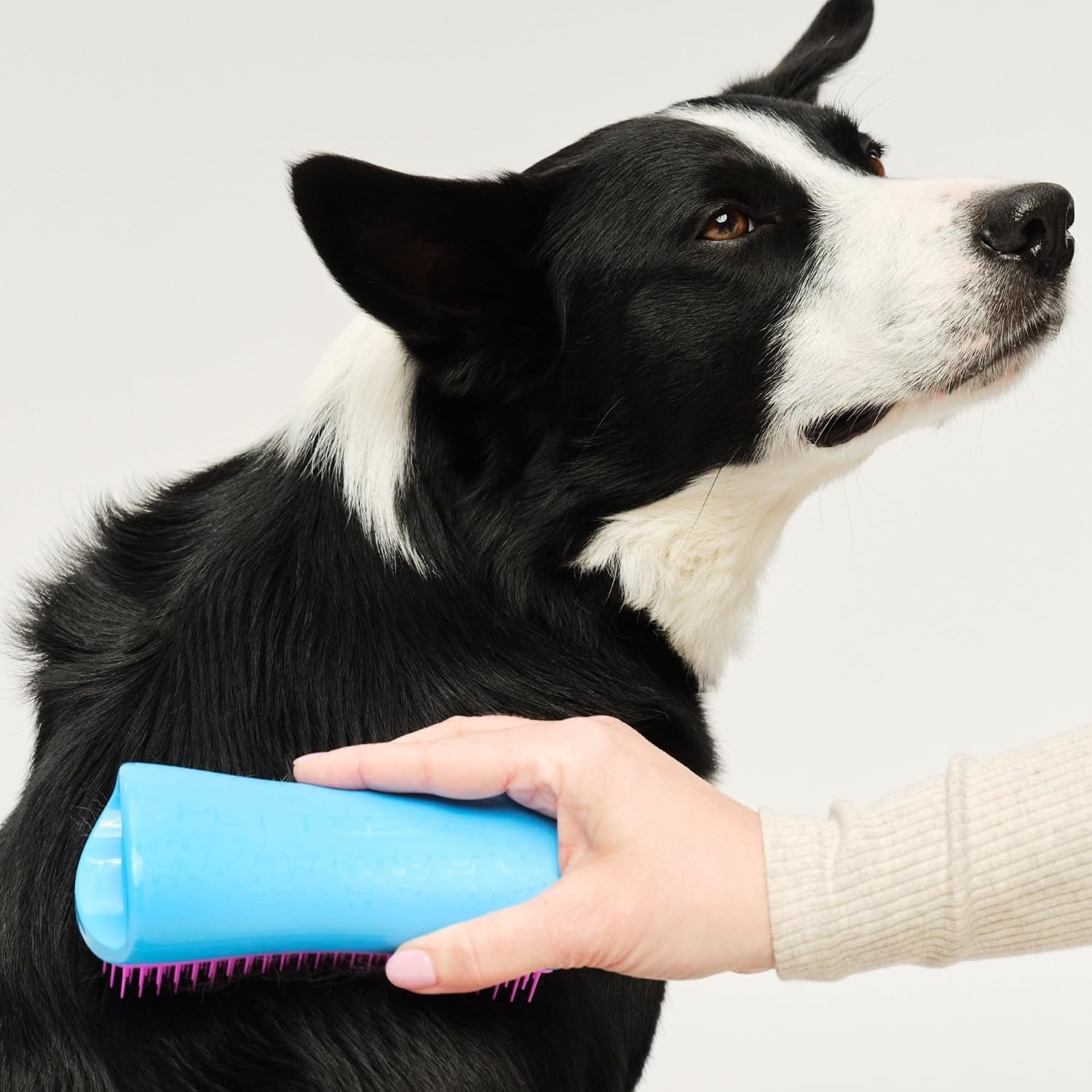 pet-teezer-de-shedding-dog-brush-for-long-hair-breeds-large-blue-pink-dog-grooming-tool-with-patented-two-tier-teeth-reaches-the-undercoat-for-thick-double-coated-dogs-wet-or-dry-fur