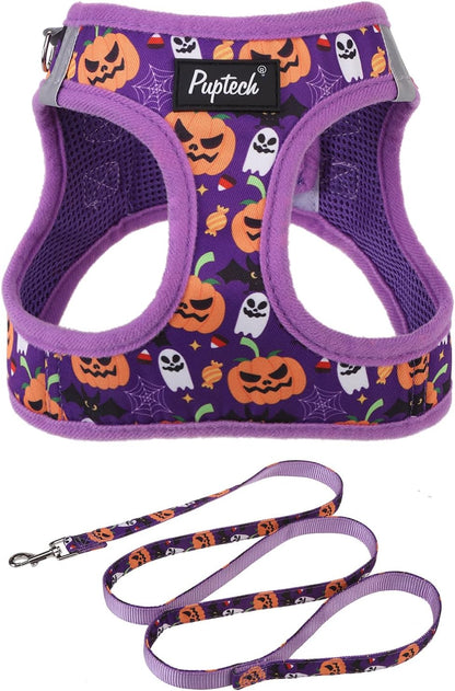 PUPTECK Dog Harness and Leash Set for Small Medium Dogs No Pull Step-In Soft Mesh Puppy Cat Vest Harnesses Reflective at Night, Green S30