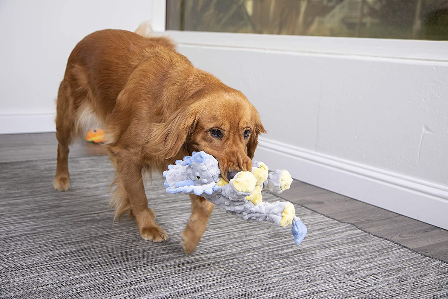 godog-dinos-frills-squeaky-plush-dog-toy-with-chew-guard-technology-durable-fabric-squeaker-for-active-play-gray-large