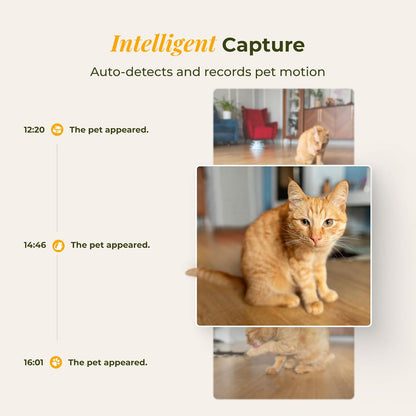 ARENTI Smart Automatic Cat Feeder and Water Fountain, 4L Pet Feeder Cat Food Dispenser with Camera, Dual Power, App Control, Live View & Night Vision, Meal Call, Hygienic Water Flow, Desiccant Bag3