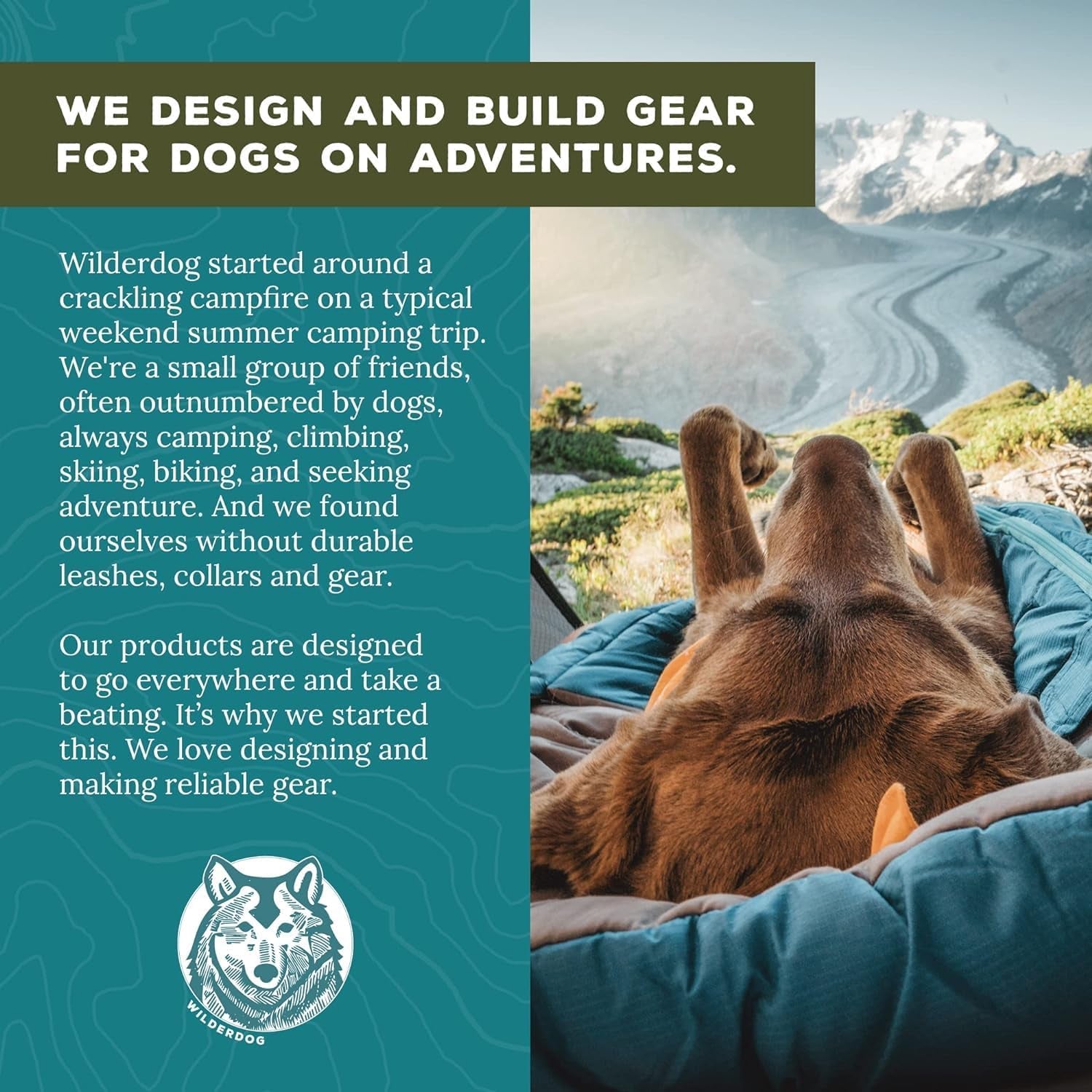 wilderdog-lightweight-dog-harness-with-reflective-straps-medium-huckleberry