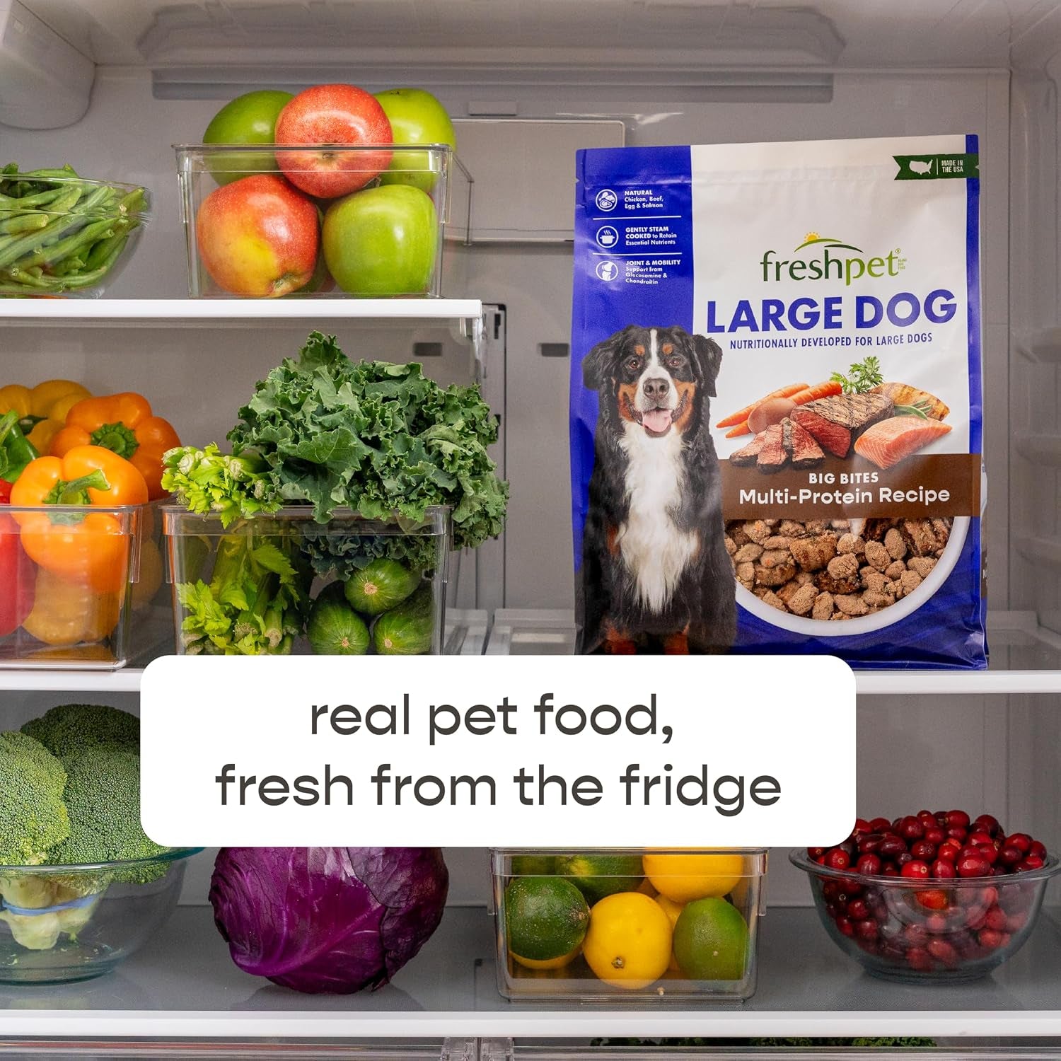 freshpet-healthy-natural-large-dogs-breeds-dog-food-fresh-multi-protein-recipe-5lb