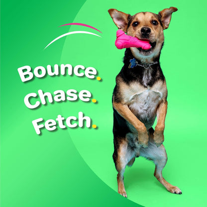Hartz Duraplay Bone Squeaky Latex Dog Toy for Medium Breeds, 3 Pack4
