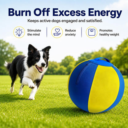 18 Inch Bite Resistant Herding Ball for Dogs, Aussies and Labs | 1000D Nylon Cover, Industrial-Grade Spiral Rubber Bladder, Anti-Burst Build, Lightweight, Easy to Clean, Elastic Bounce3