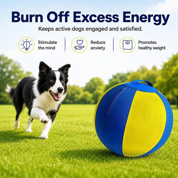 18 Inch Bite Resistant Herding Ball for Dogs, Aussies and Labs | 1000D Nylon Cover, Industrial-Grade Spiral Rubber Bladder, Anti-Burst Build, Lightweight, Easy to Clean, Elastic Bounce3