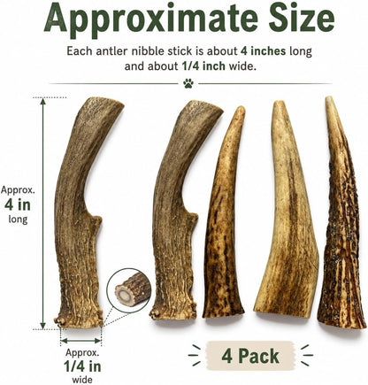 Whitetail Naturals Small Animal Antler Chews, 4 Pack Gnaw Stick Toys | for Squirrels Hamsters Gerbils Guinea Pigs Rats Degus Prairiedogs Chinchilas Rabbits - Calcium & Minerals - Not for Dogs3