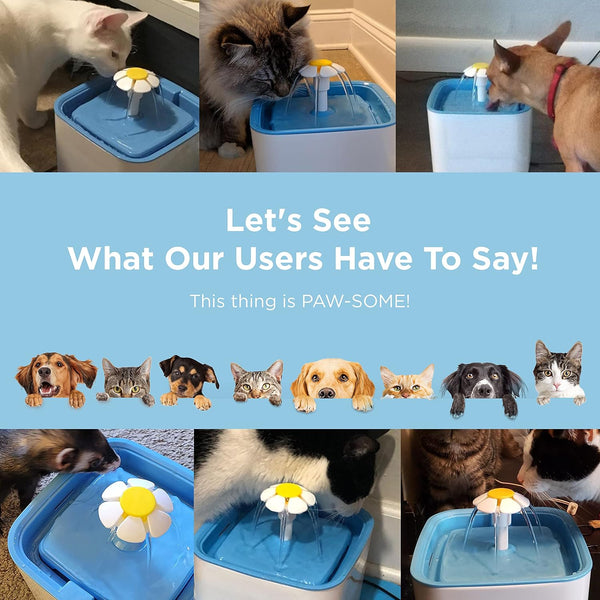 Ciays Cat Water Fountain4