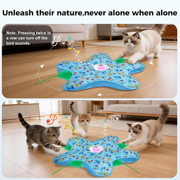Duckart Interactive Cat Toy - Hide and Seek Automatic Cat Toy with Birdcall, Rechargeable & 3 Speeds, Auto Sleep/Wake Mode Kitten Toys, Safe ABS Material Cat Toys for Bored Indoor Adult Cats5