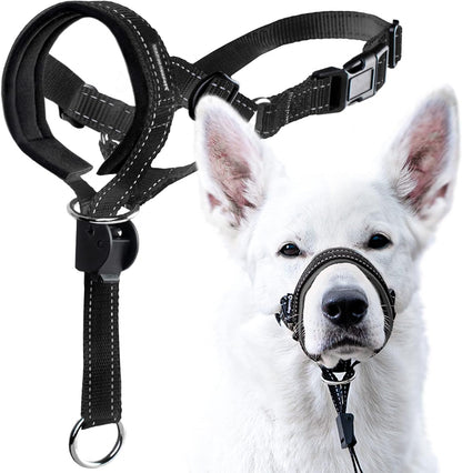 Goodboy Dog Head Halter with Safety Strap - Stops Heavy Pulling on the Leash - Padded Headcollar for Small Medium and Large Dog Sizes - Head Collar Training Guide Included (Size 2, Black)1