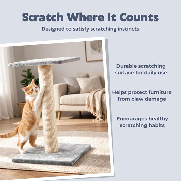 TRIXIE Espejo Cat Scratching Post 27.2 Inch - Cat Scratcher with Soft Fabric Covering Base and Durable Sisal Rope - with Resting Platform - Gray3