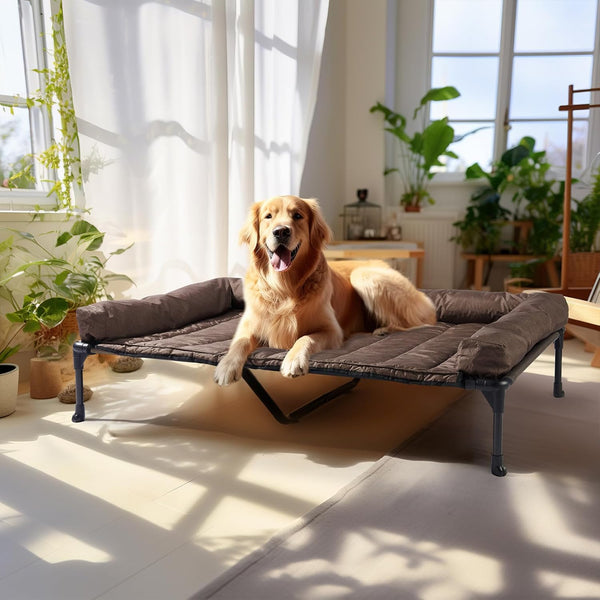Veehoo Outdoor Elevated Dog Bed with Waterproof Bolster Cushion, Cooling | Raised Dog Bed with Removable & Washable Mat Topper, Breathable Mesh, Dog Couch Cot for Indoor Outdoor, 42", Large, Black21