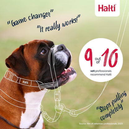 Halti Optifit Headcollar Size Medium & Halti Training Leash Size Large, Black Combination Pack - Stop Your Dog Pulling on the Leash. Adjustable with Padded Nose Band. Suitable for Medium Dogs9