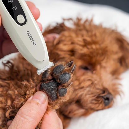 Upgraded Mini Dog Paw Trimmer with LED Light, Low Noise Small Pet Hair Trimmer 18Mm Wide Curved Blade, 35Db Cordless Waterproof Pet Paw Grooming Clippers for Dogs, Cats, Paws, Ears, Face, Rump9