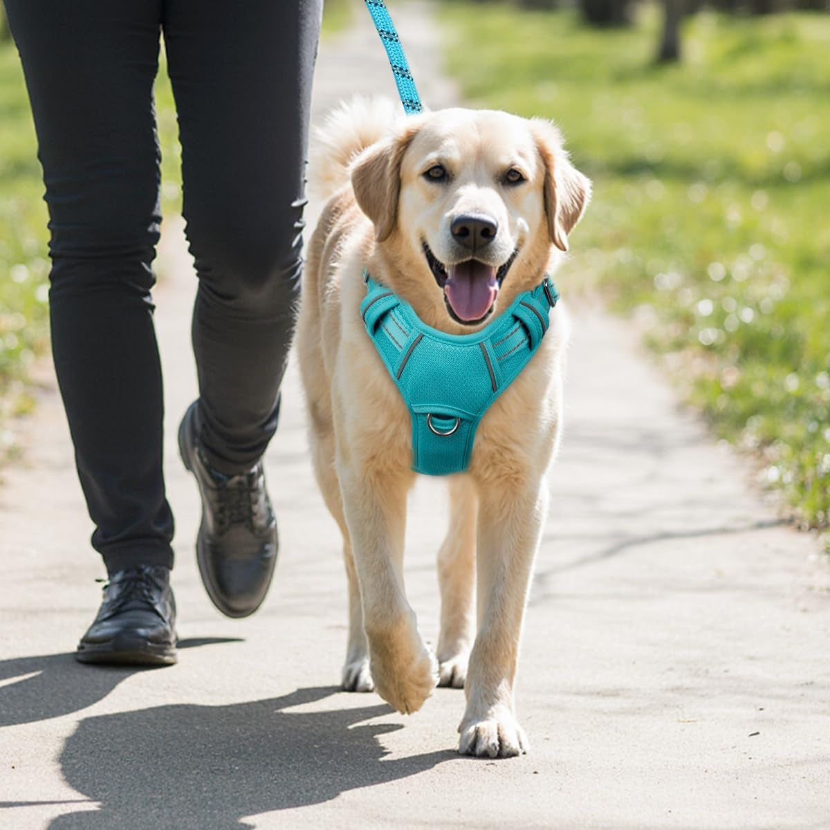 barkbay-no-pull-dog-harness-large-reflective-dog-harness-with-front-clip-and-easy-control-handle-for-walking-training-running-with-id-tag-pocketocean-blue-l