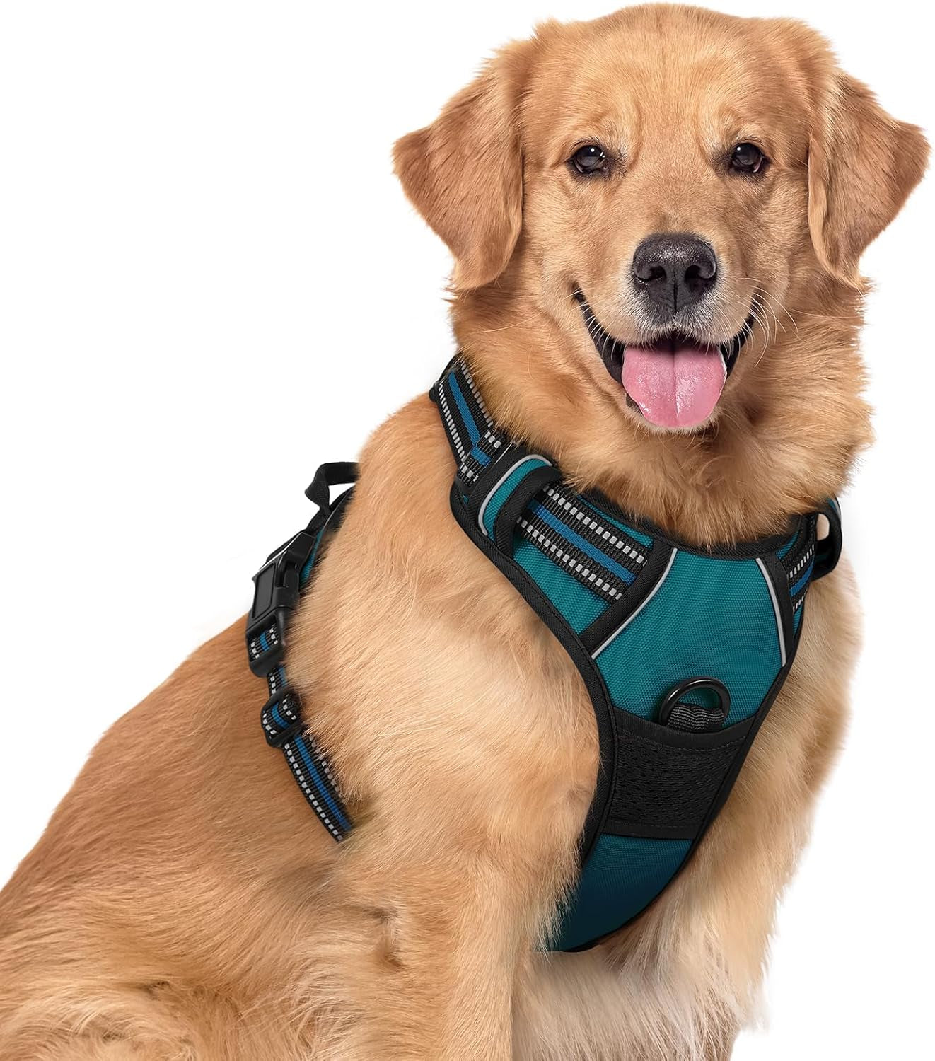 rabbitgoo-dog-harness-no-pull-for-large-dogs-with-2-leash-clips-pet-vest-no-choke-with-handle-adjustable-soft-padded-reflective-easy-control-for-walking-black-large