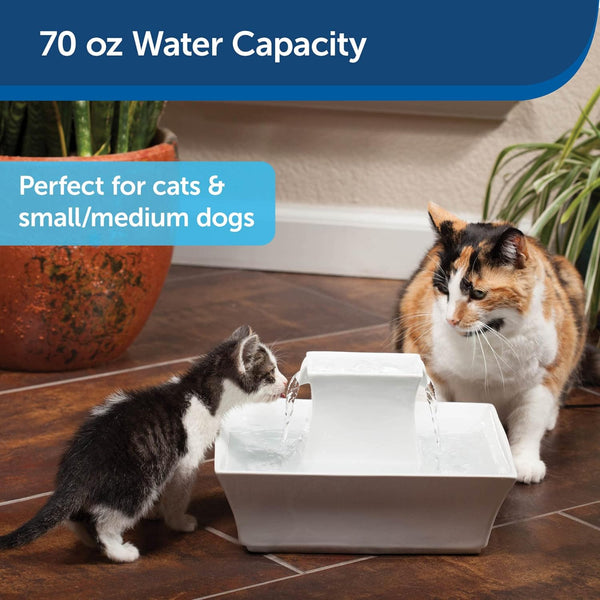 Petsafe Drinkwell Pagoda Fountain, Filters Included, 70 Oz Ceramic, White | 2 Free-Falling Water Streams Encourage Hydration, Pet Fountain for Cats & Small Dogs, Replaceable Carbon & Foam Filters3