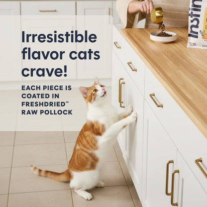 Instinct Original Dry Cat Food, Raw Coated Kibble, Real Chicken, 5 Lb. Bag | Raw-Coated Kibble with Cage-Free Chicken for Strong Muscles, Digestive Health, and Healthy Skin & Coat, Grain-Free4