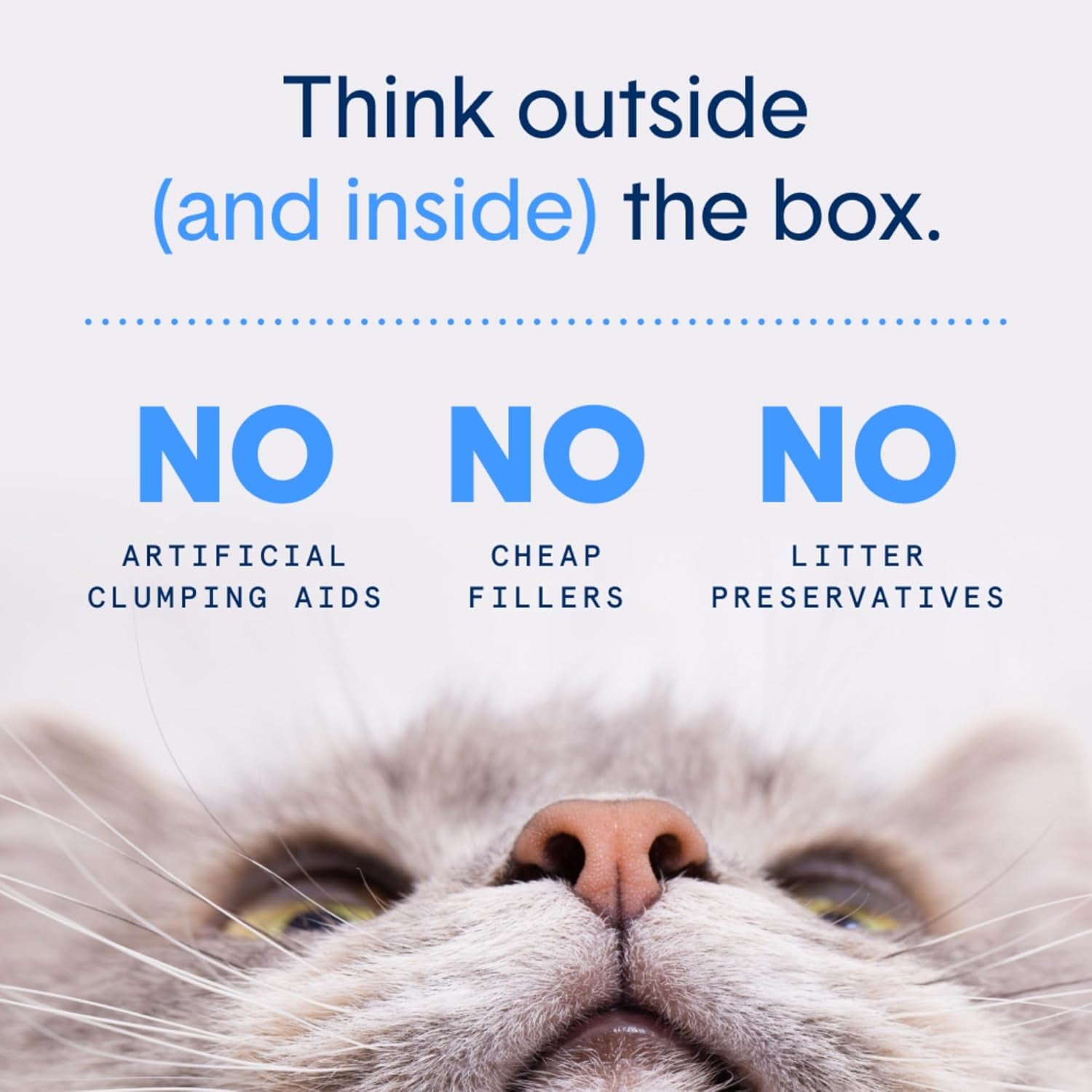 boxie-unscented-lightweight-cat-litter-30-day-odor-control-dust-free-6-5-lb