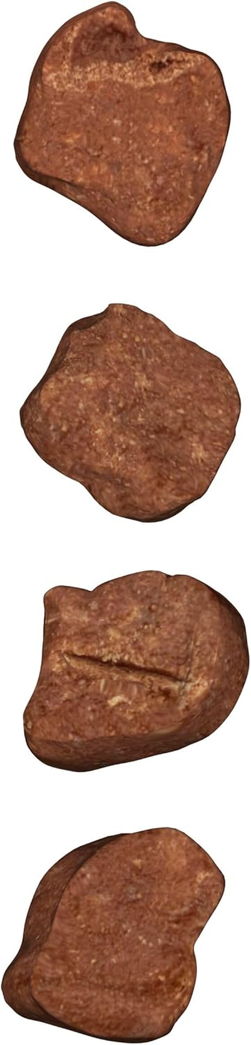 pup-peroni-tender-cuts-beef-recipe-dog-treats-slow-cooked-for-4-hours-20-oz-canister