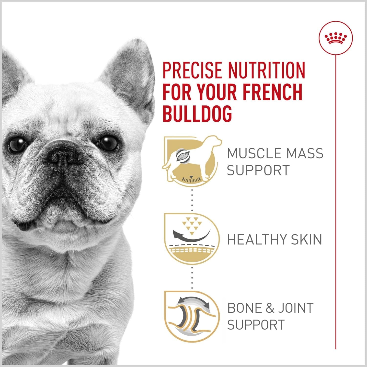 royal-canin-breed-health-nutrition-french-bulldog-adult-dry-dog-food-6-lb-bag-tailored-nutrition-for-purebred-dogs-specialized-kibble-shape-supports-muscle-tone-6-pound-resealable-bag