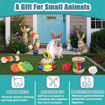 QWR 9PCS Wooden Bunny Toys,Safe Rabbit & Guinea Pigs Teeth Grinding Toy for Chinchillas, Hamsters & Small Animals - Indoor & Outdoor5