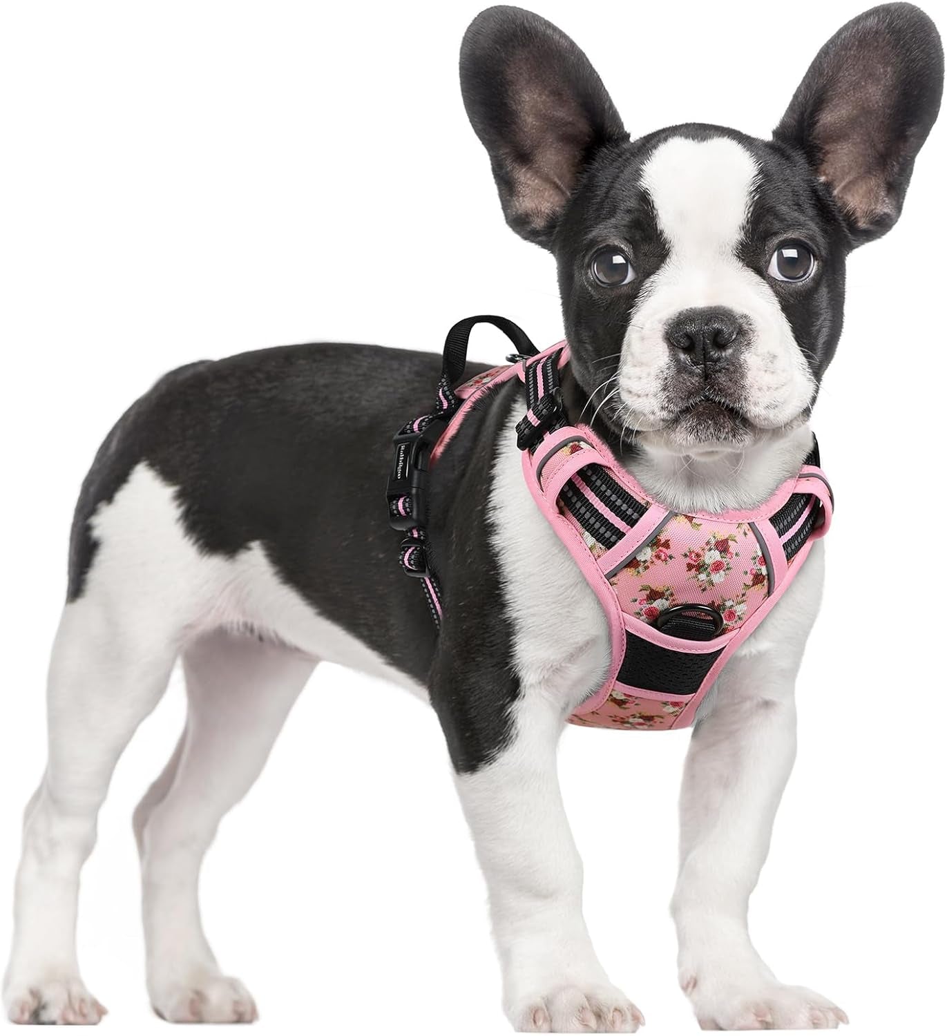 rabbitgoo-dog-harness-no-pull-for-large-dogs-with-2-leash-clips-pet-vest-no-choke-with-handle-adjustable-soft-padded-reflective-easy-control-for-walking-black-large