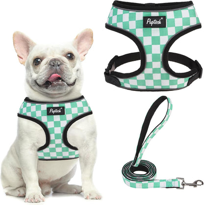 PUPTECK Soft Mesh Dog Harness Small Sized and Leash Set Pet Puppy Cat Comfort Padded Vest No Pull Harnesses, Beige, S45
