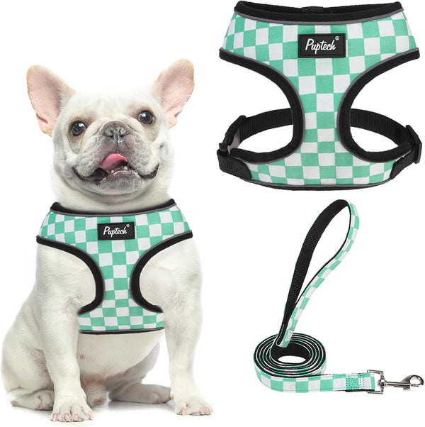 PUPTECK Soft Mesh Dog Harness Small Sized and Leash Set Pet Puppy Cat Comfort Padded Vest No Pull Harnesses, Beige, S45