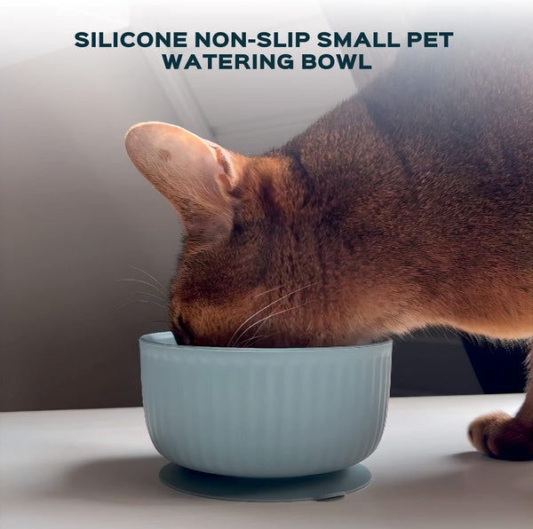 Cat Bowls with Suction Cup 13 Oz — Elevated Silicone Pet Dish with Non-Slip Bottom for Dry Food, Wet Food and Water (Light Grey)10