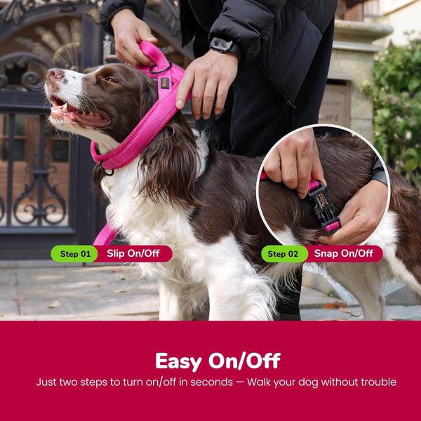 Didog No Pull Dog Harness for Small Dogs, Breathable Mesh Padded,Hot Pink,S | Quick Fit, Easy on and Off, Lightweight, Reflective Vest Harness for Night Safty, Easy for Walking and Training, Chest 18-22"4