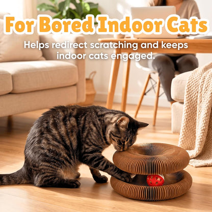 KITTY KURLZ Interactive Cat Toy & Cardboard Cat Scratcher | Collapsible Ball Track with Bell, for Indoor Cats, Reversible Scratch Ring, Play, Chase and Lounge8