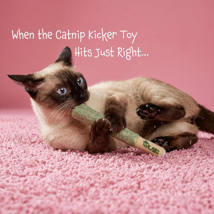 LIT LABS Cat Doobie 3 Pack Catnip Toys for Cats, Funny Cat Toys, Safe Kitten Teething Chew and Kicker Toys, Stress-Relieving Indoor Cat Gifts That Hit Different5