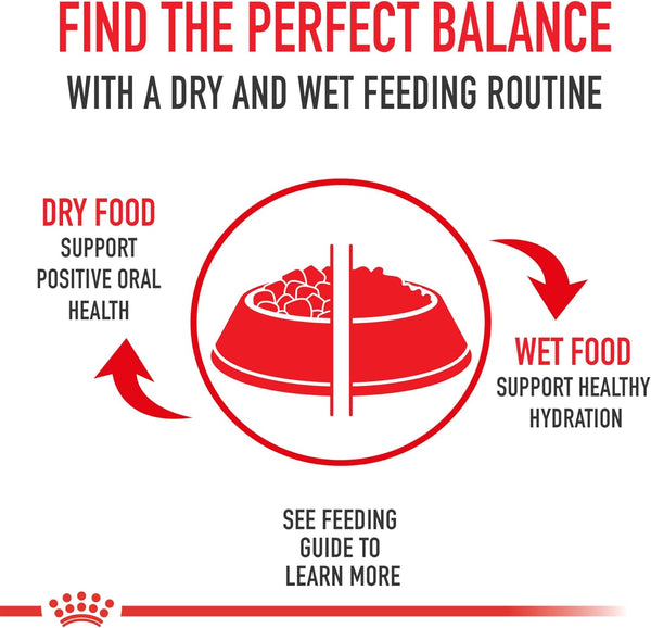 Royal Canin Breed Health Nutrition Shih Tzu Adult Loaf in Sauce Dog Food, 3 Oz (Pack of 6)5