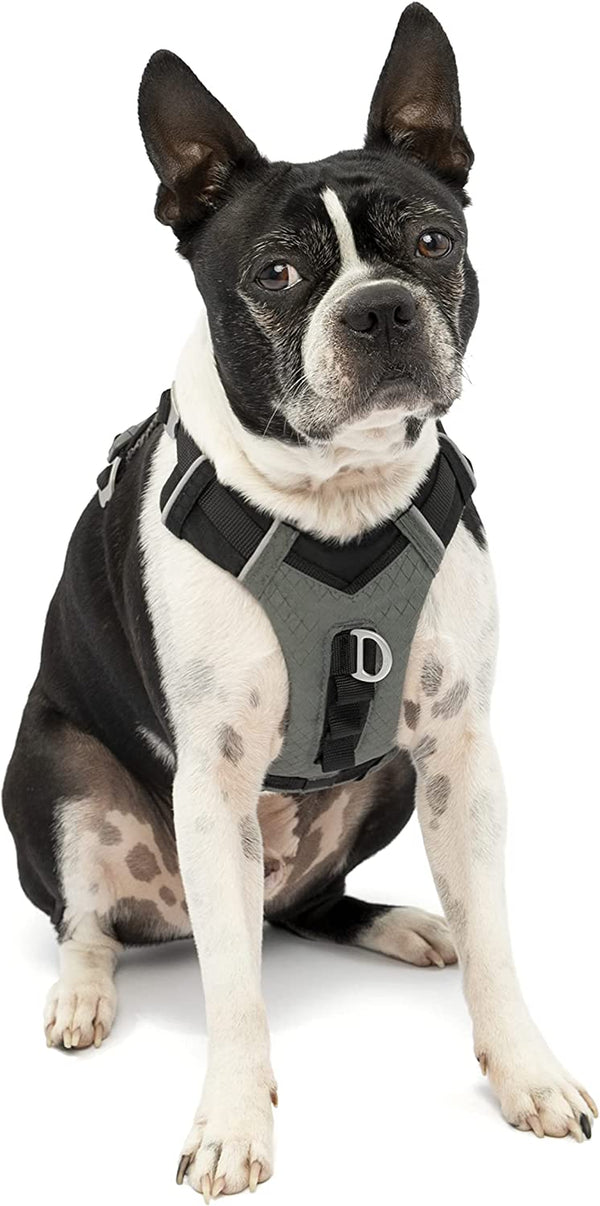 Kurgo Journey Air Dog Harness, Blue, Small | Padded Chest, Ripstop Outer & Breathable Mesh, Back Assist Handle, Rust-Free Aluminum Hardware, Reflective Trim16