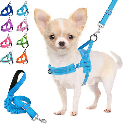 Lukovee No Pull Dog Harness and Leash Set, Soft Padded Small Dog Harness, Neck & Chest Adjustable Reflective Vest Puppy Harness with 4Ft Lightweight Anti-Twist Dog Leash for Small Dogs (XS, Blue)13